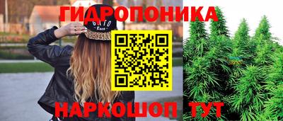 винт Аша