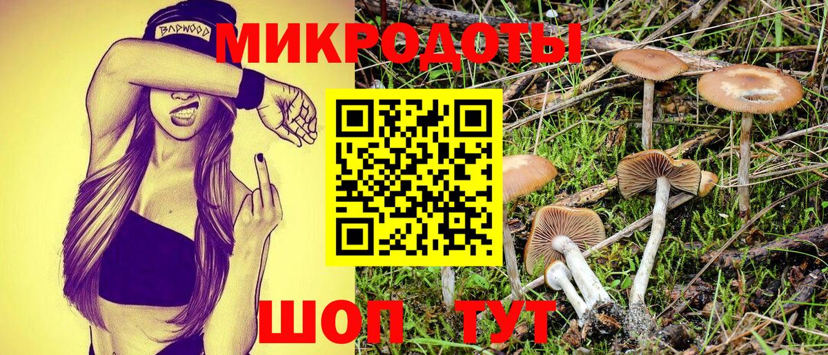 наркошоп  Галлюциногенные грибы MAGIC MUSHROOMS  Вход с VPN  Корсаков  Галлюциногенные грибы Magic Shrooms 